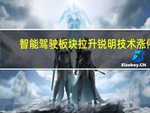 智能驾驶板块拉升 锐明技术涨停