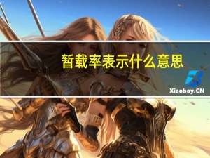 暂载率表示什么意思