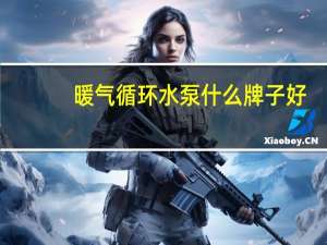 暖气循环水泵什么牌子好（家用暖气循环泵什么牌子好）