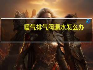 暖气排气阀漏水怎么办