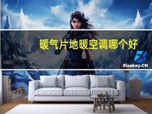 暖气片地暖空调哪个好