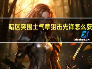 暗区突围士气章狙击先锋怎么获得