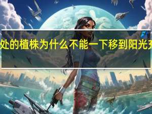 暗处的植株为什么不能一下移到阳光充足之处