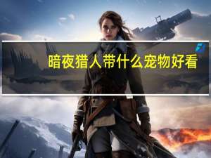 暗夜猎人带什么宠物好看