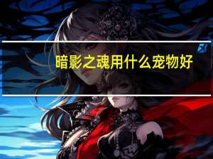 暗影之魂用什么宠物好