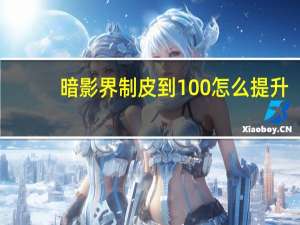 暗影界制皮到100怎么提升