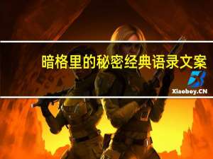 暗格里的秘密经典语录文案（暗格里的秘密 经典语录是什么）