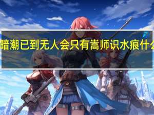 暗潮已到无人会只有嵩师识水痕什么意思