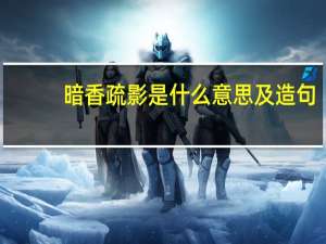 暗香疏影是什么意思及造句