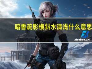 暗香疏影横斜水清浅什么意思