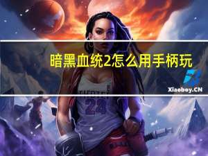 暗黑血统2怎么用手柄玩（暗黑血统2手柄补丁）