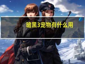 暗黑3宠物有什么用
