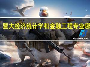暨大经济统计学和金融工程专业哪个好