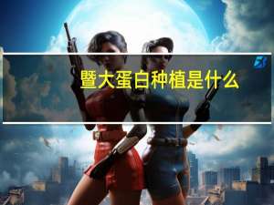 暨大蛋白种植是什么
