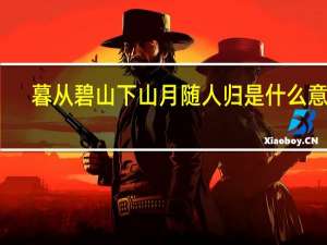 暮从碧山下山月随人归是什么意思（暮从碧山下）