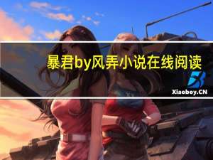 暴君by风弄小说在线阅读（暴君by风弄）