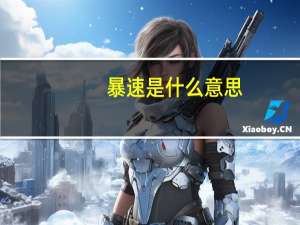 暴速是什么意思