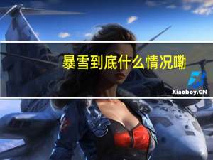 暴雪 到底什么情况嘞