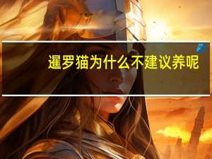 暹罗猫为什么不建议养呢