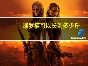 暹罗猫可以长到多少斤