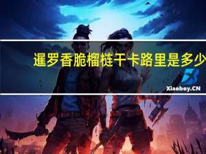 暹罗 香脆榴梿干卡路里是多少