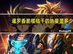 暹罗 香脆榴梿干的热量是多少