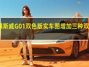 曝斯威G01双色版实车图 增加三种双色车漆