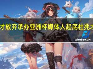 曝杜兆才放弃承办亚洲杯 媒体人起底杜兆才18亿调节费