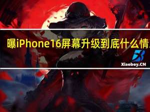 曝iPhone 16屏幕升级 到底什么情况嘞