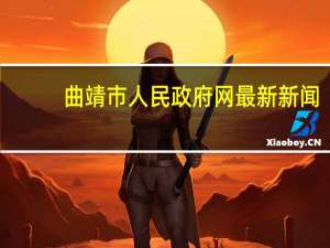曲靖市人民政府网最新新闻（曲靖市人民政府网）