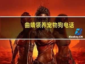 曲靖领养宠物狗电话