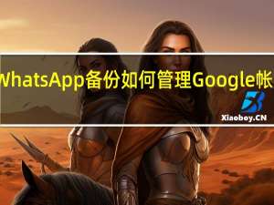 更改WhatsApp备份如何管理Google帐户上的空间