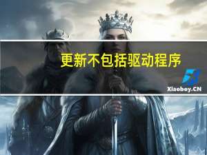更新不包括驱动程序