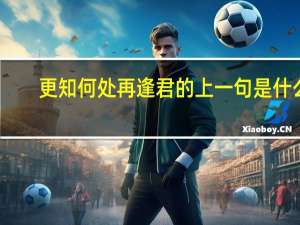 更知何处再逢君的上一句是什么