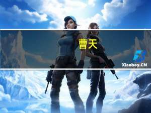 曹天-河南风雅颂置业有限公司总裁介绍（曹天-河南风雅颂置业有限公司总裁介绍）