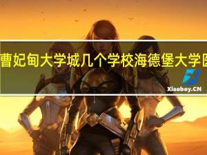 曹妃甸大学城几个学校 海德堡大学医学院