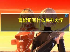 曹妃甸有什么民办大学