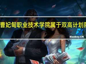 曹妃甸职业技术学院属于双高计划院校吗