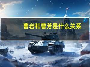 曹岩和曹芳是什么关系