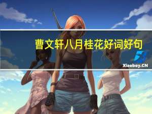 曹文轩八月桂花好词好句（曹文轩八月桂花读后感）