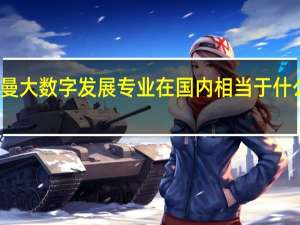 曼大数字发展专业在国内相当于什么专业