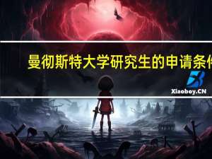 曼彻斯特大学研究生的申请条件。。