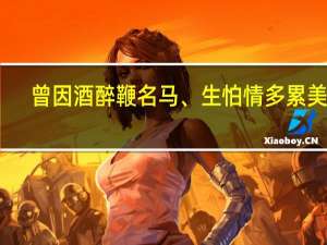 曾因酒醉鞭名马、生怕情多累美人（ldquo 曾因酒醉鞭名马生怕情多累美人 rdquo 是什么意思）