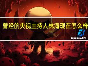 曾经的央视主持人林海现在怎么样了呢