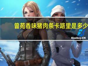 曾苑香味 猪肉条卡路里是多少