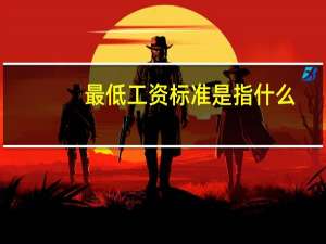 最低工资标准是指什么