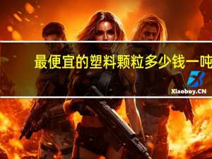 最便宜的塑料颗粒多少钱一吨（塑料颗粒多少钱一吨）