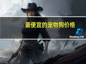 最便宜的宠物狗价格