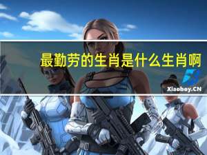 最勤劳的生肖是什么生肖啊
