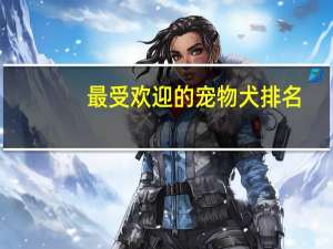 最受欢迎的宠物犬排名